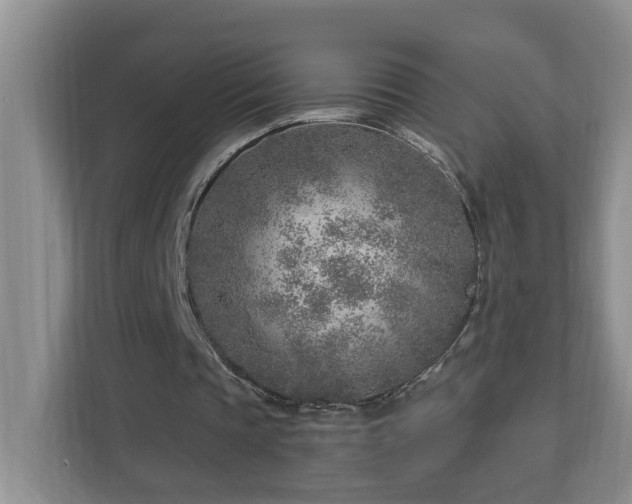 X0000112940337200908241325