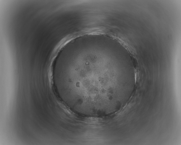 X0000112940339200908241325
