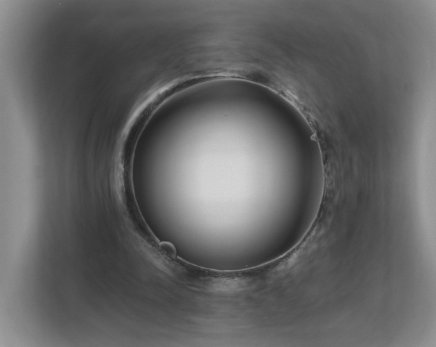 X0000112940342200908241325