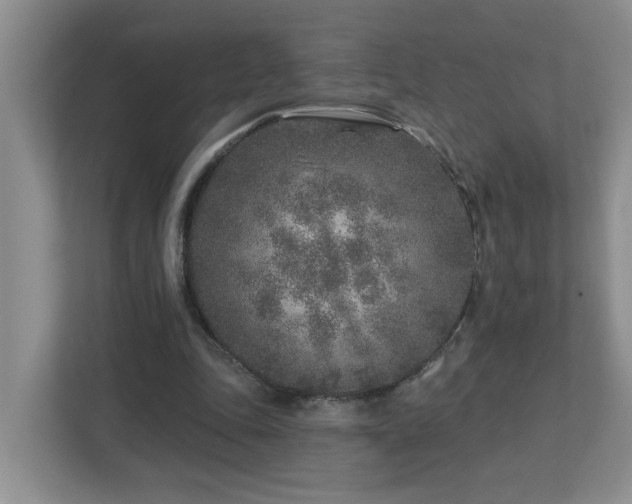 X0000112940343200908241325