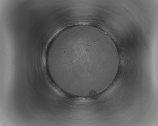 X0000112940347200908241325