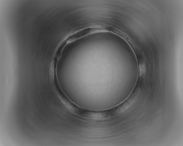 X0000112940349200908241325