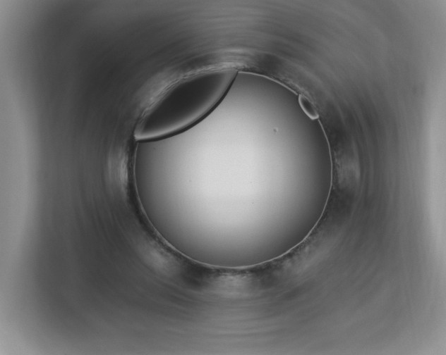 X0000112940350200908241325