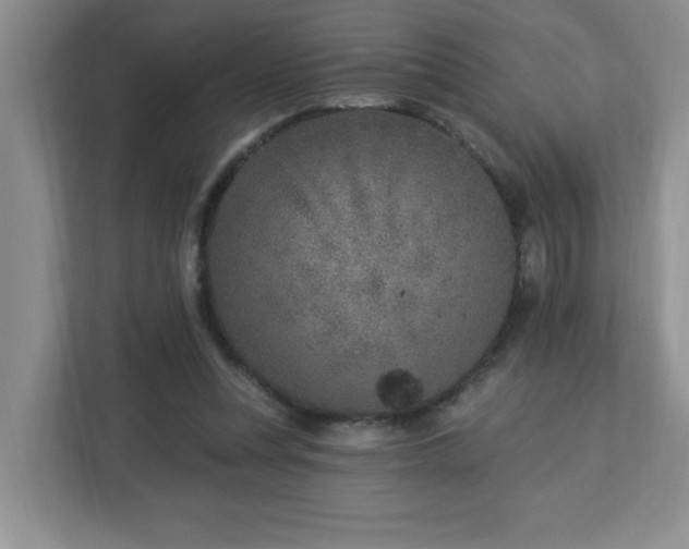 X0000112940351200908241325
