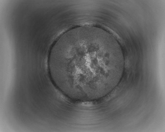 X0000112940353200908241325