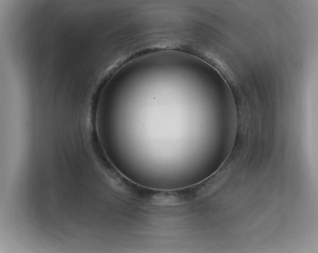 X0000112940354200908241325