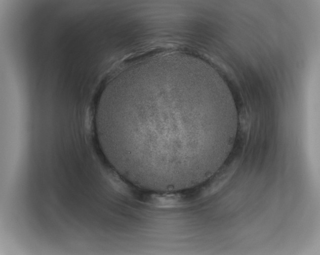 X0000112940359200908241325