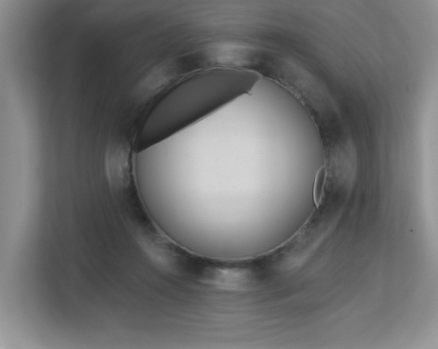 X0000112940360200908241325