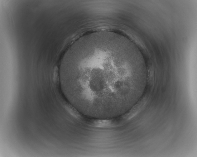 X0000112940361200908241325