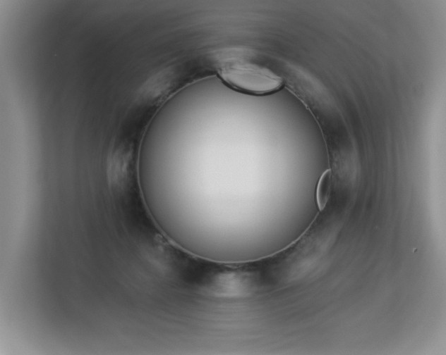 X0000112940364200908241325
