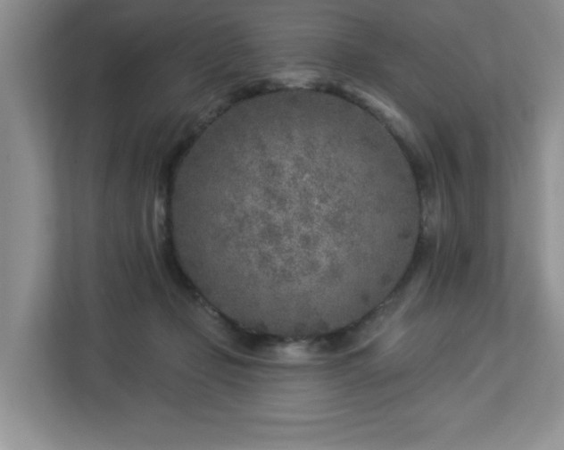 X0000112940365200908241325