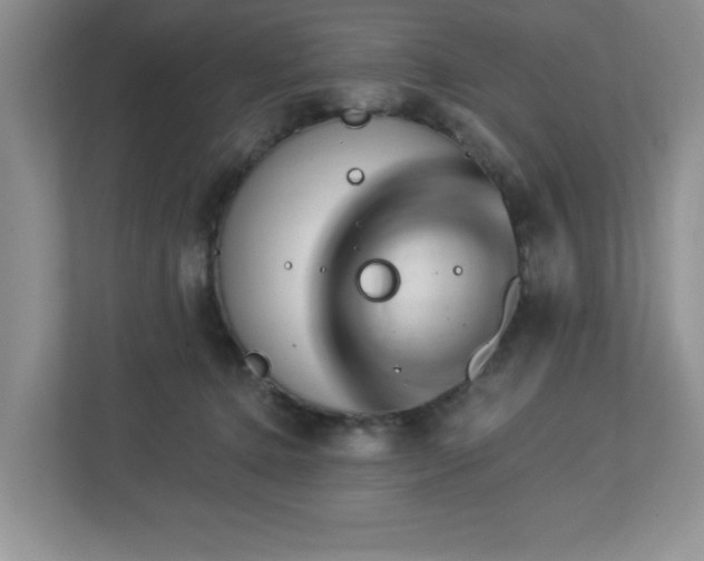 X0000112940368200908241325