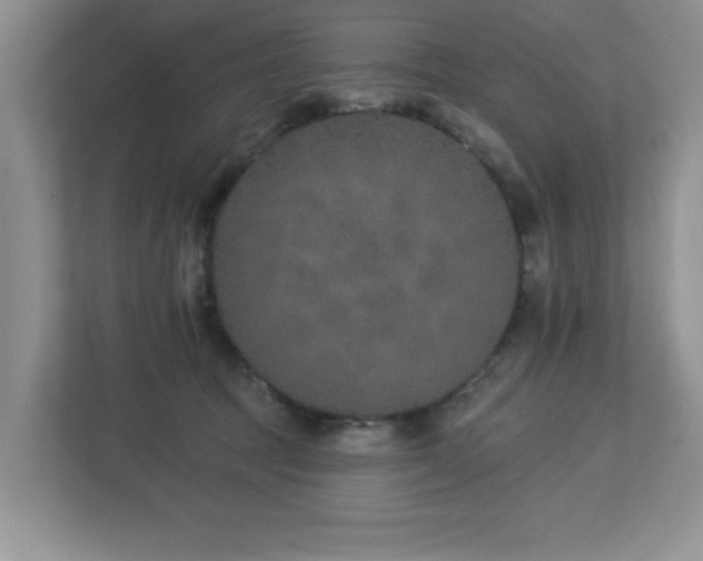 X0000112940369200908241325