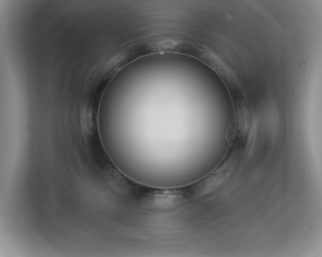 X0000112940378200908241325