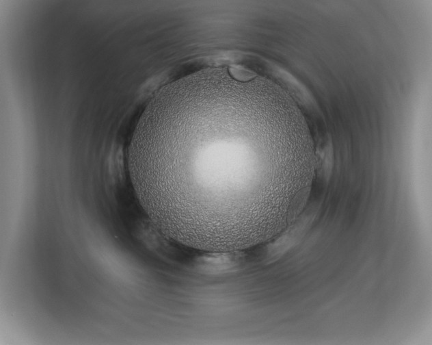 X0000112940381200908241325