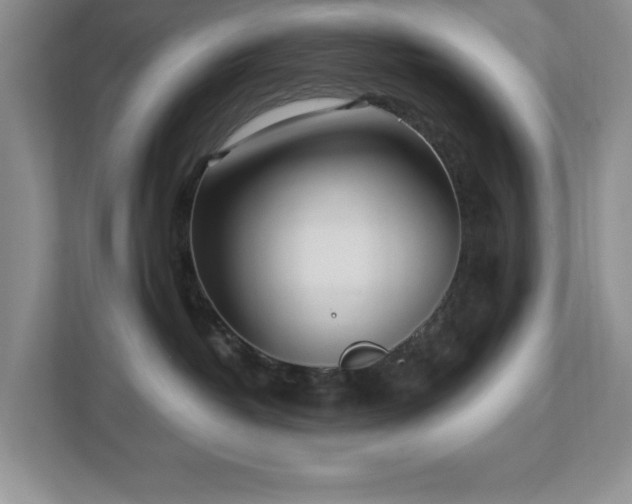 X0000112940382200908241325