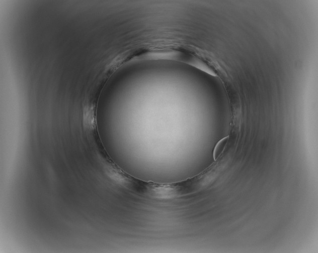 X0000112940383200908241325
