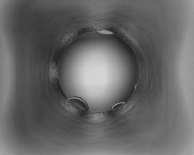 X0000112940384200908241325