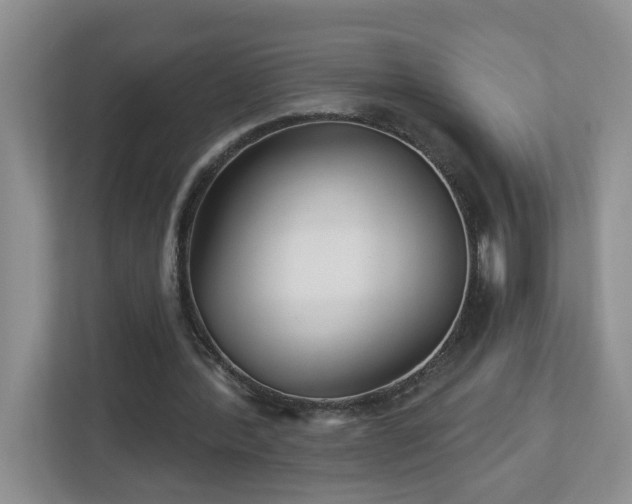 X0000112940388200908241325