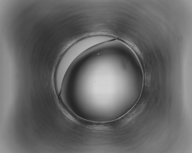 X0000112940389200908241324