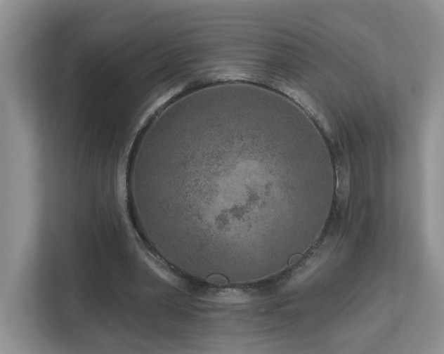 X0000112940390200908241324