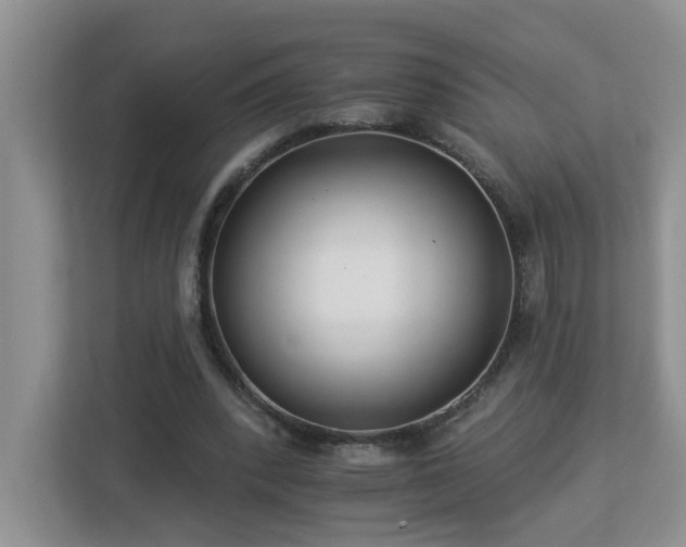 X0000112940392200908241324
