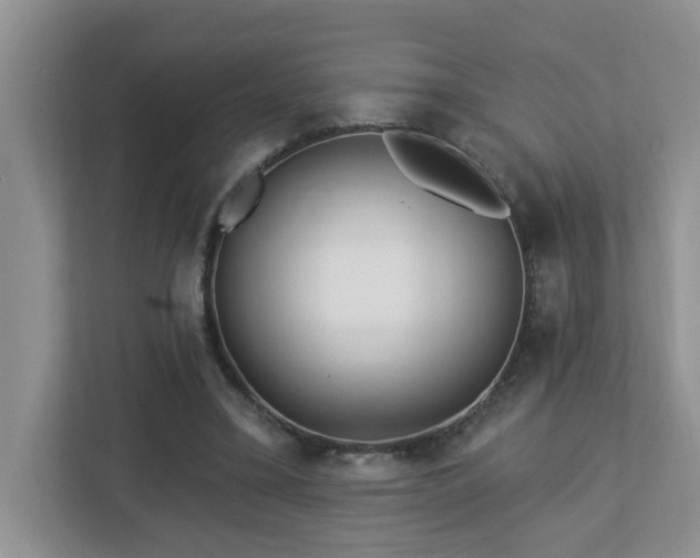 X0000112940395200908241324