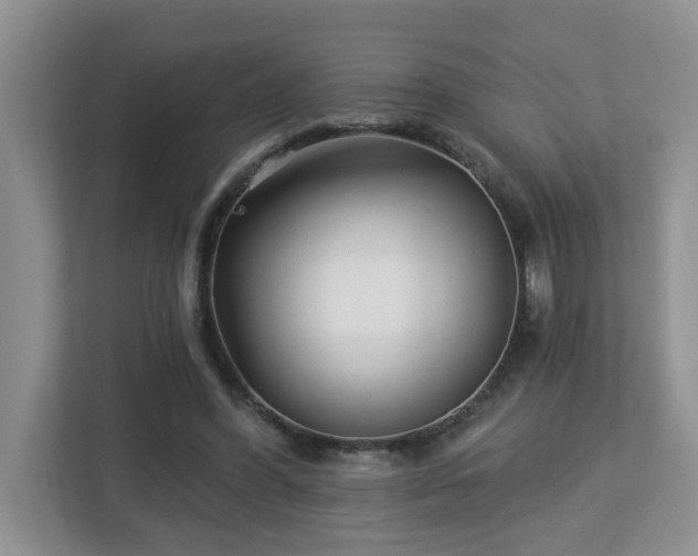 X0000112940396200908241324