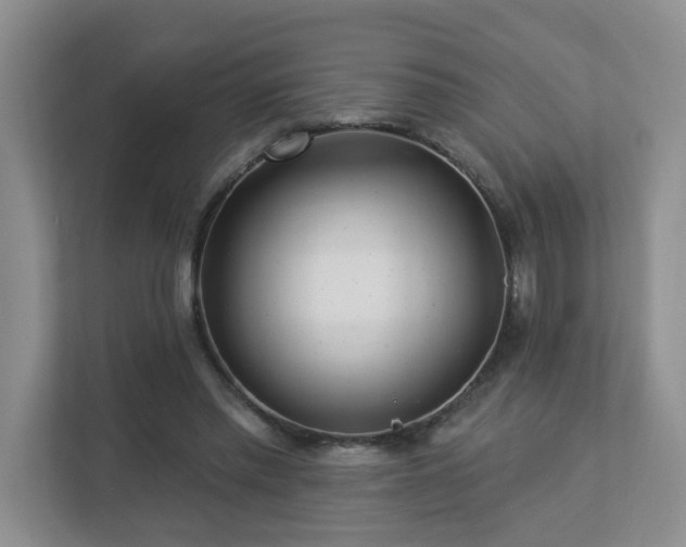 X0000112940397200908241324