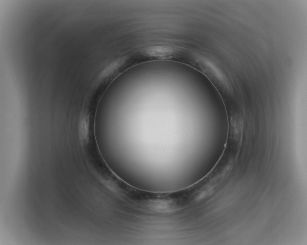 X0000112940404200908241324