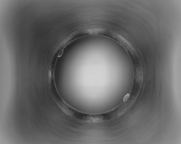 X0000112940405200908241324