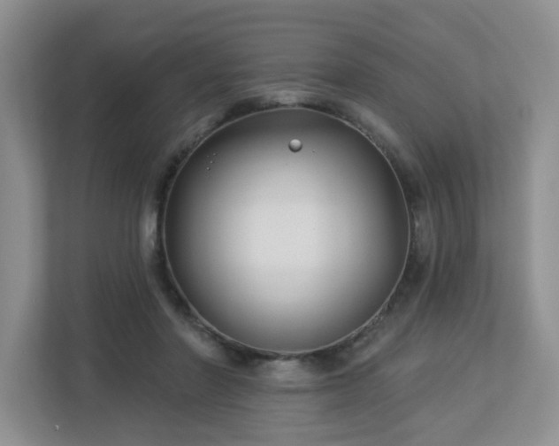 X0000112940406200908241324