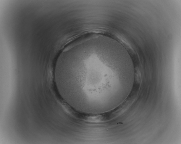 X0000112940410200908241324