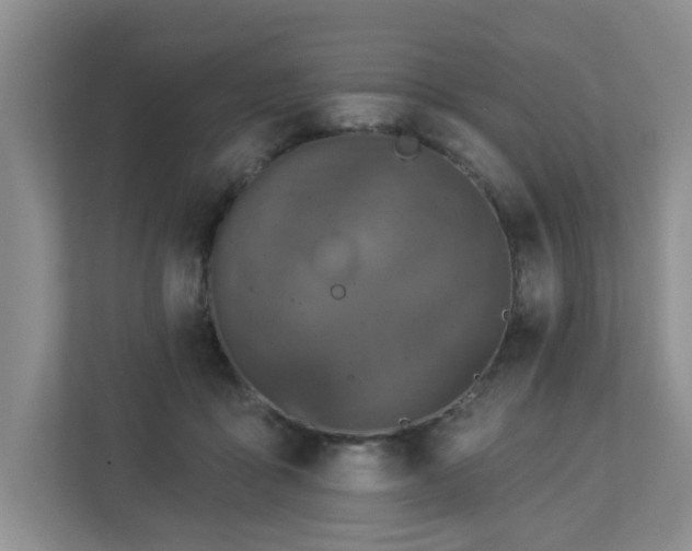 X0000112940411200908241324