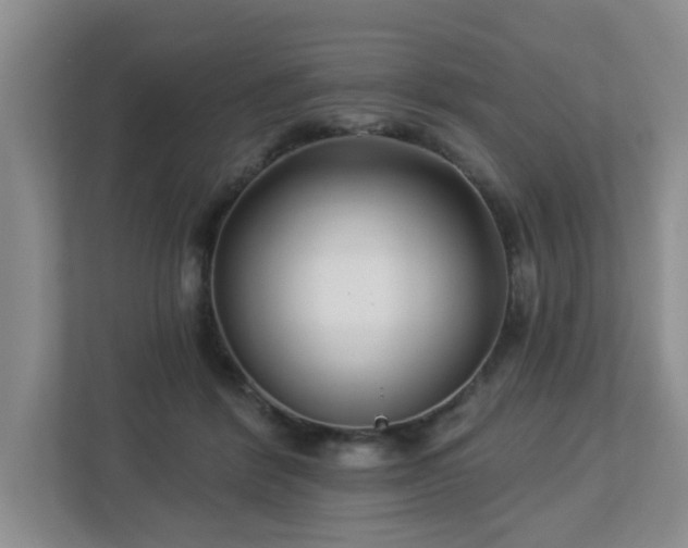 X0000112940412200908241324