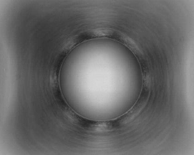 X0000112940418200908241324