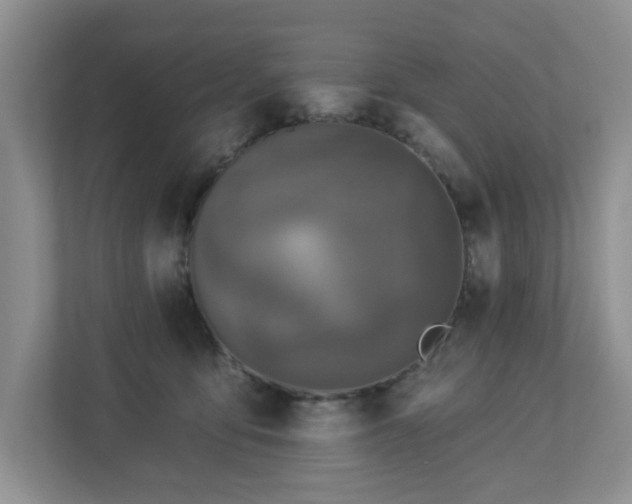 X0000112940419200908241324