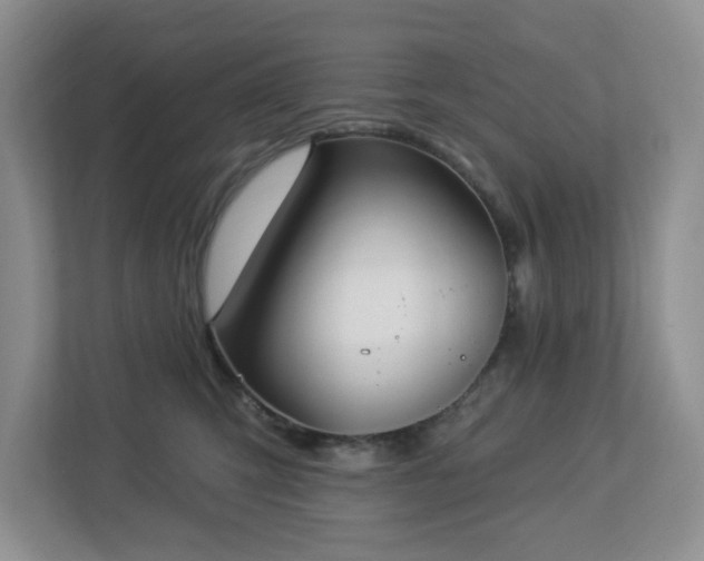 X0000112940423200908241324