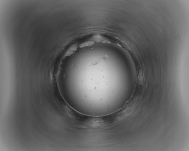 X0000112940424200908241324