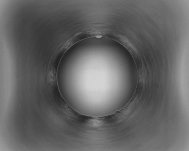 X0000112940425200908241324