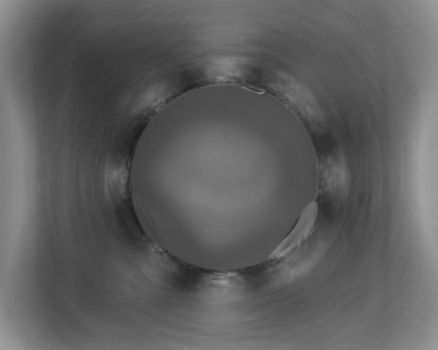 X0000112940427200908241324