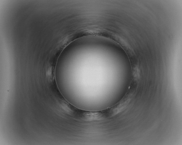 X0000112940428200908241324
