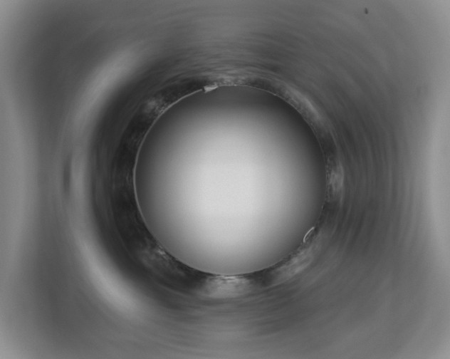 X0000112940429200908241324