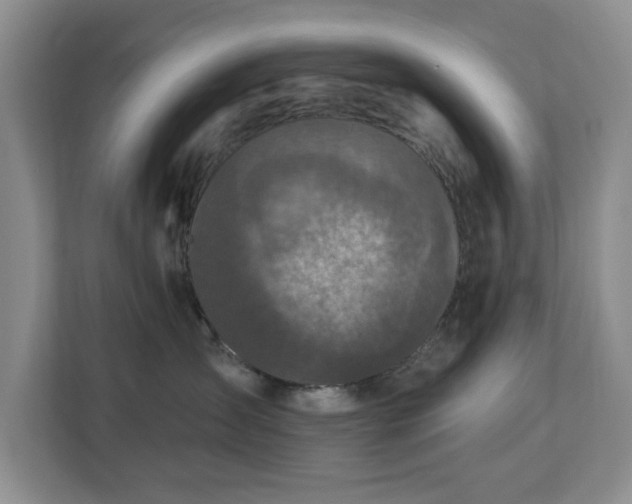 X0000112940431200908241324