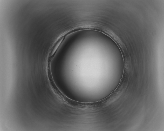 X0000112940434200908241323