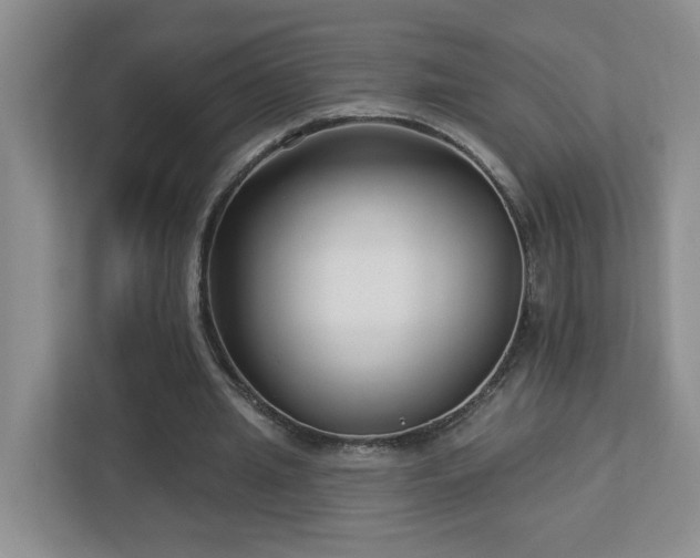 X0000112940437200908241323