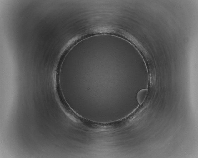 X0000112940438200908241323