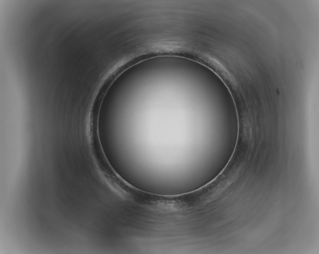 X0000112940439200908241323