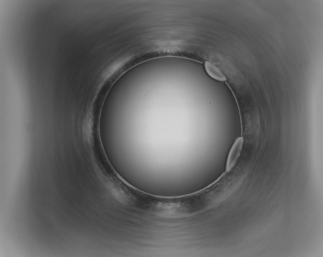 X0000112940440200908241323