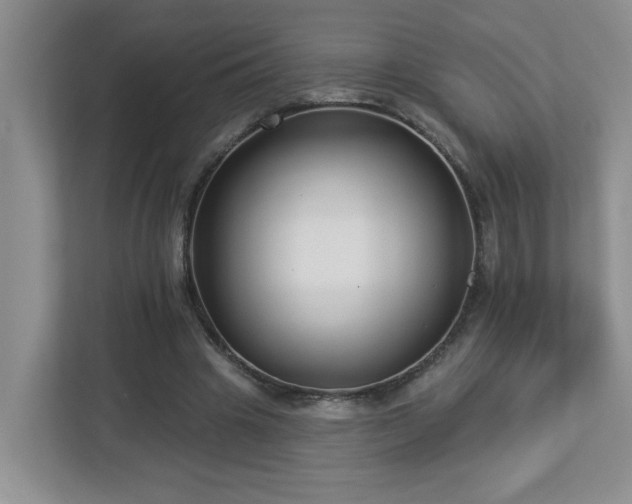 X0000112940441200908241323